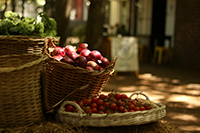 Monthly basket